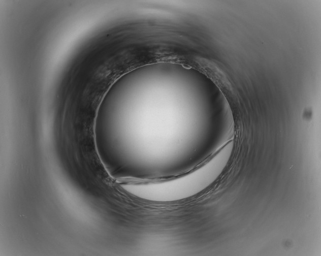 X0000096390763200802071537