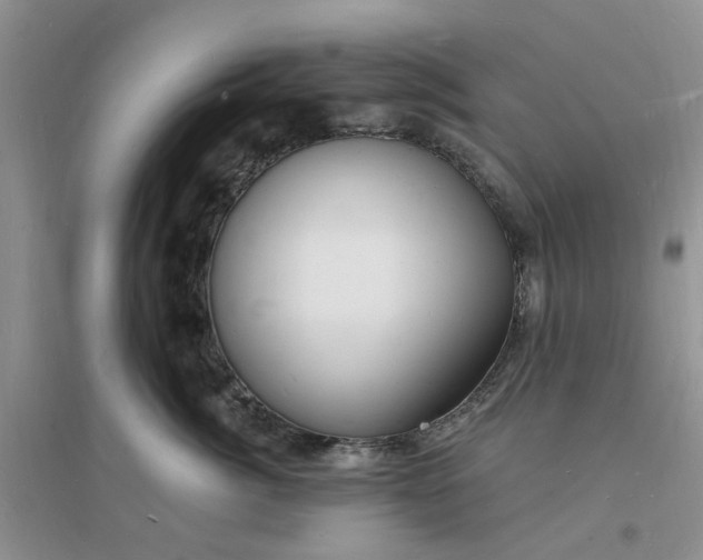X0000096390764200802071537
