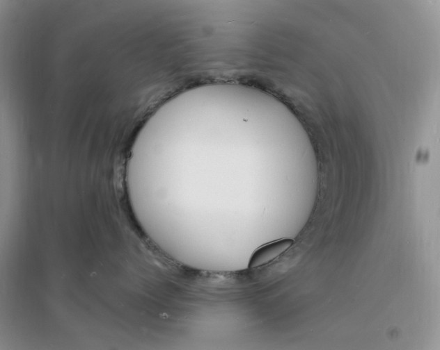 X0000096390768200802071537