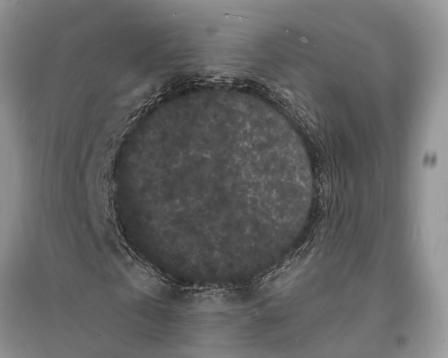 X0000096390769200802071536
