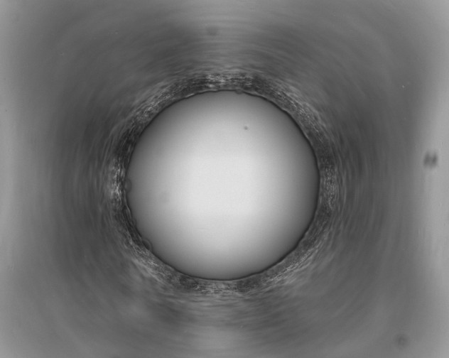 X0000096390770200802071536