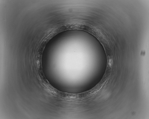 X0000096390771200802071536