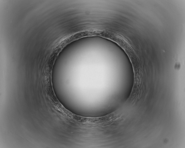 X0000096390773200802071536