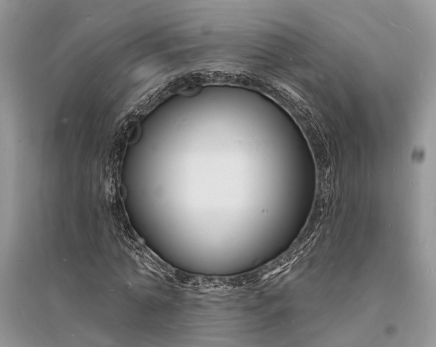 X0000096390774200802071536