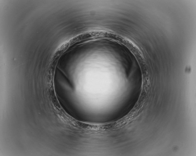 X0000096390775200802071536