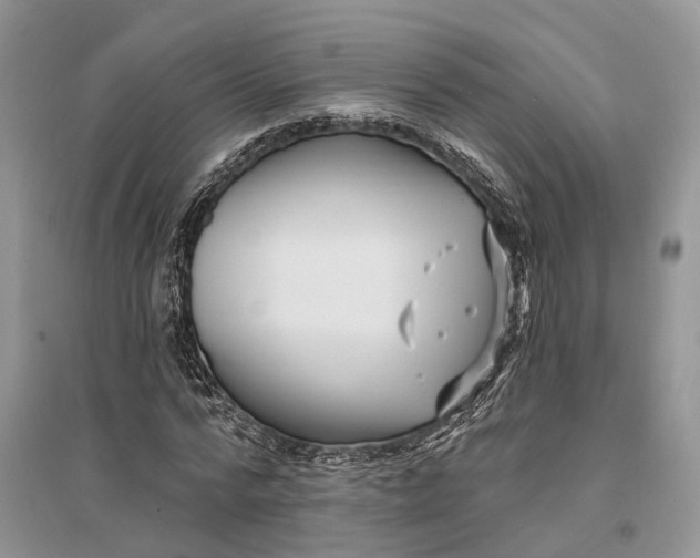 X0000096390776200802071536