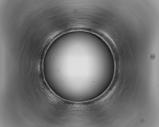 X0000096390777200802071536