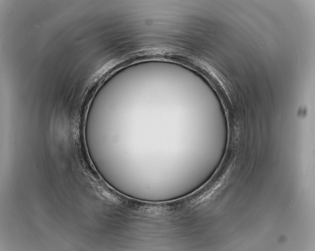 X0000096390778200802071536