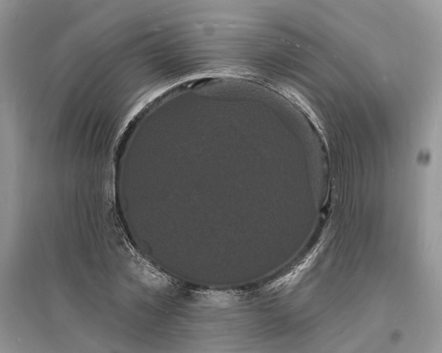 X0000096390781200802071536
