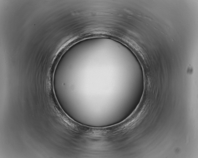 X0000096390782200802071536