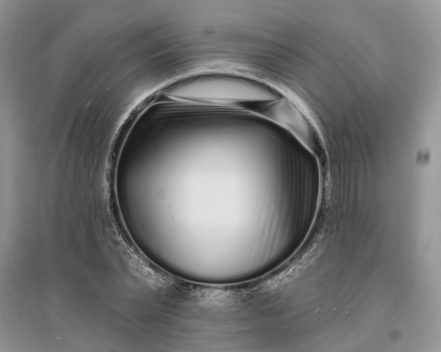 X0000096390783200802071536