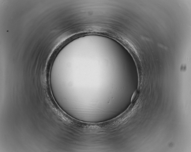 X0000096390784200802071536