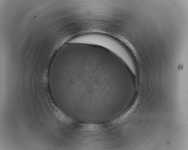 X0000096390785200802071536