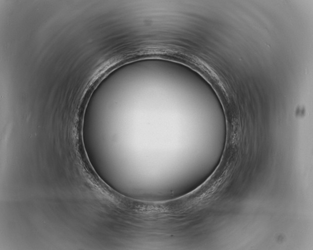 X0000096390786200802071536