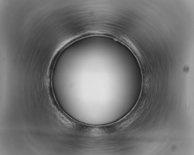 X0000096390787200802071536
