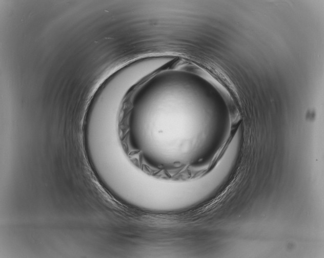 X0000096390789200802071536
