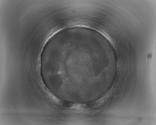 X0000096390790200802071536