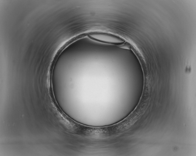 X0000096390791200802071536