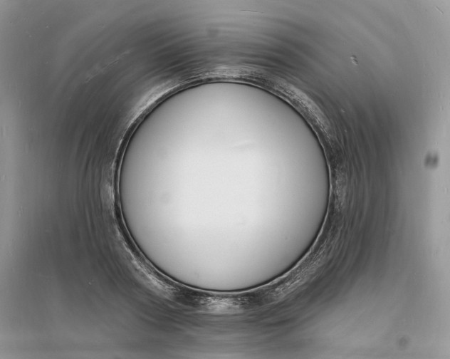 X0000096390794200802071536