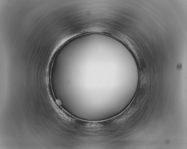 X0000096390795200802071536