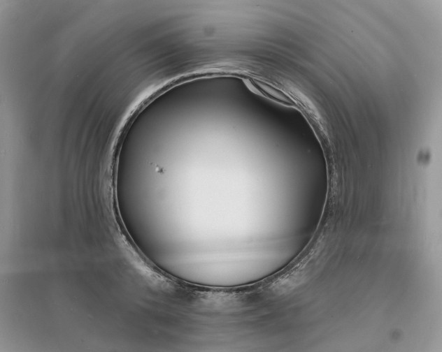 X0000096390800200802071536
