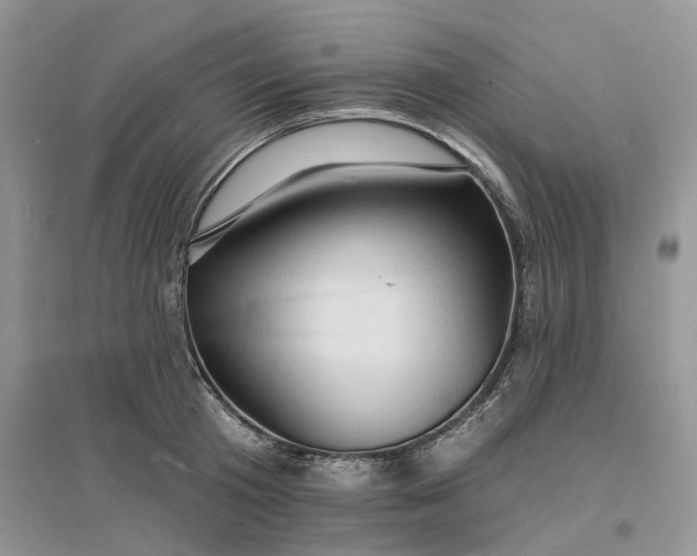 X0000096390801200802071536