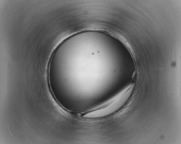X0000096390803200802071536