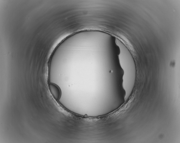 X0000096390804200802071536