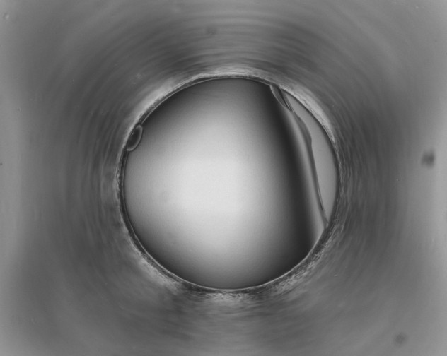 X0000096390805200802071535