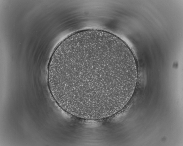 X0000096390807200802071535