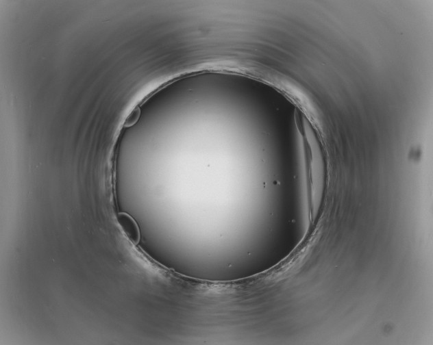 X0000096390808200802071535