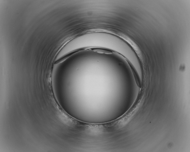 X0000096390809200802071535
