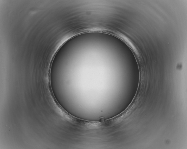 X0000096390810200802071535