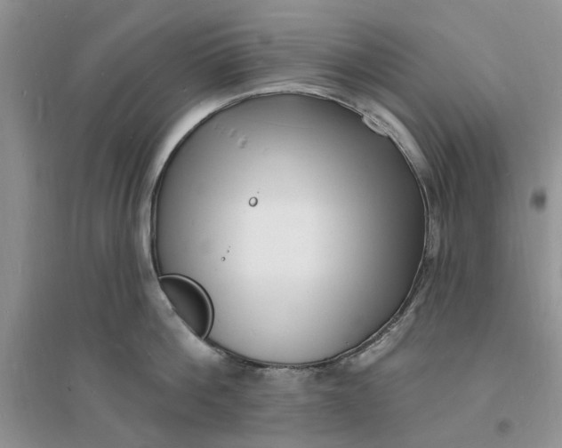 X0000096390812200802071535