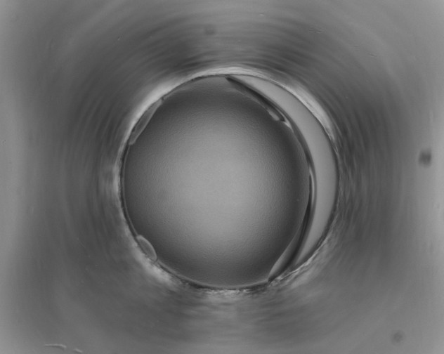 X0000096390813200802071535