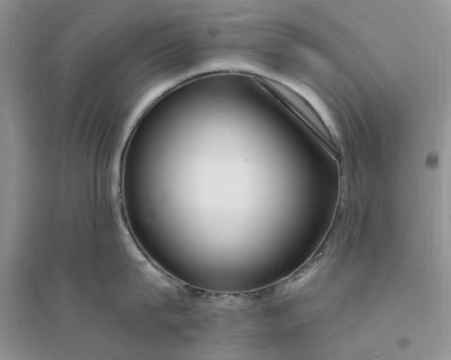 X0000096390815200802071535