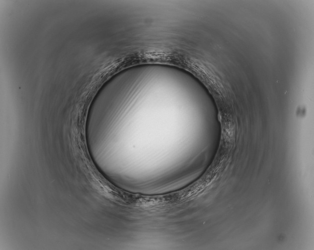 X0000096390817200802071535