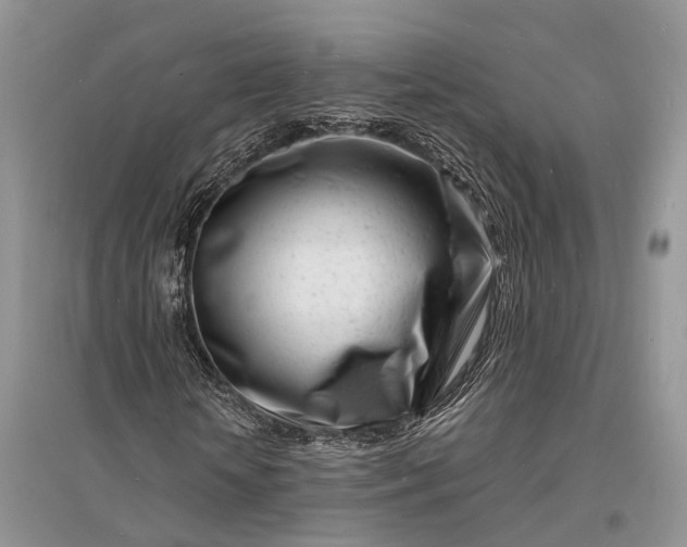 X0000096390818200802071535