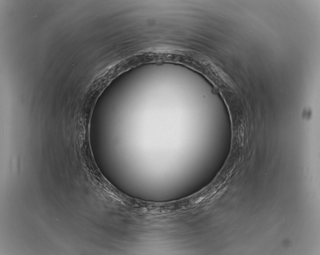 X0000096390821200802071535