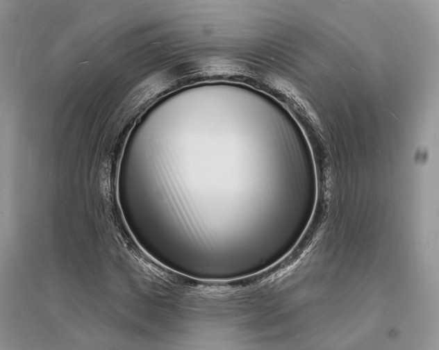 X0000096390825200802071535