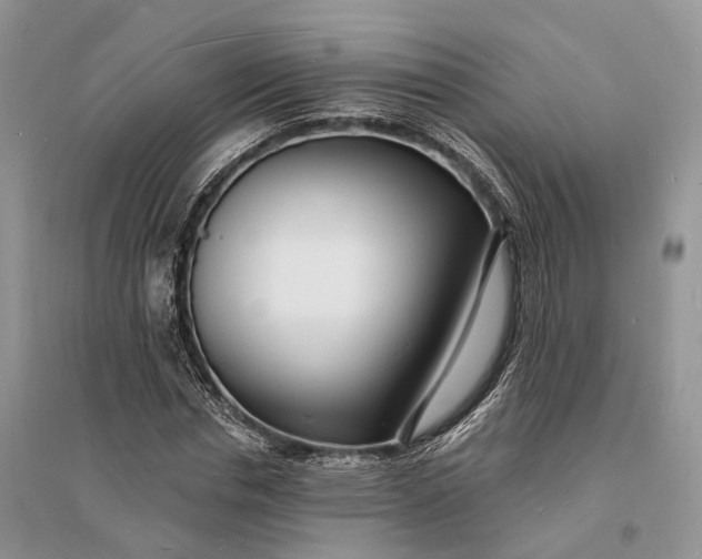 X0000096390826200802071535