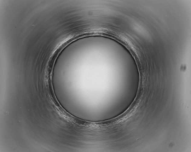 X0000096390827200802071535