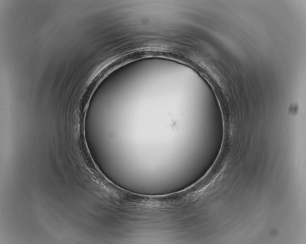 X0000096390829200802071535