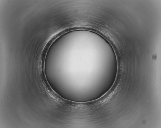 X0000096390830200802071535
