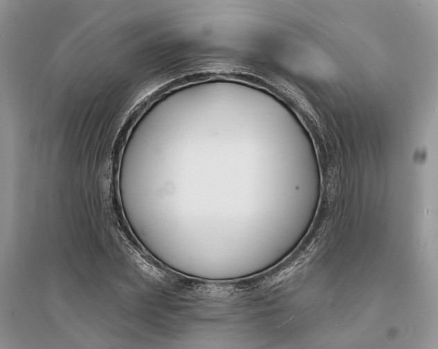 X0000096390831200802071535