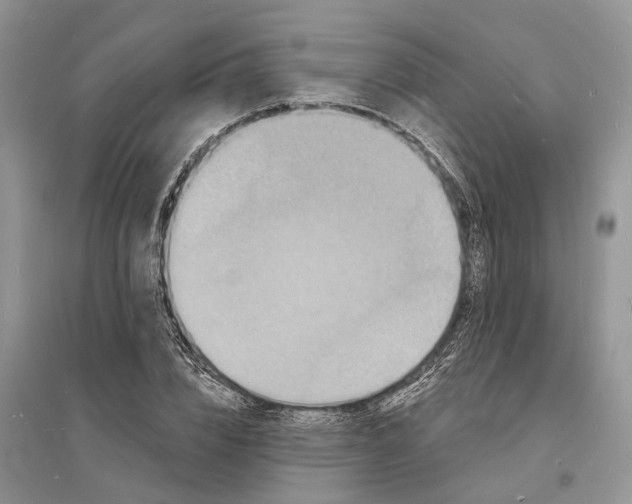 X0000096390832200802071535