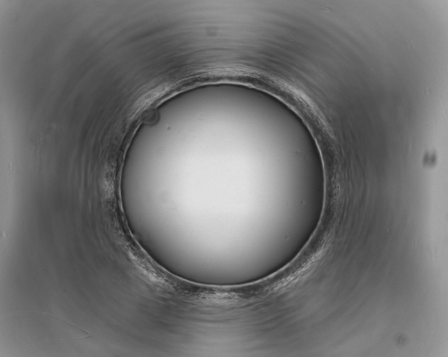 X0000096390833200802071535