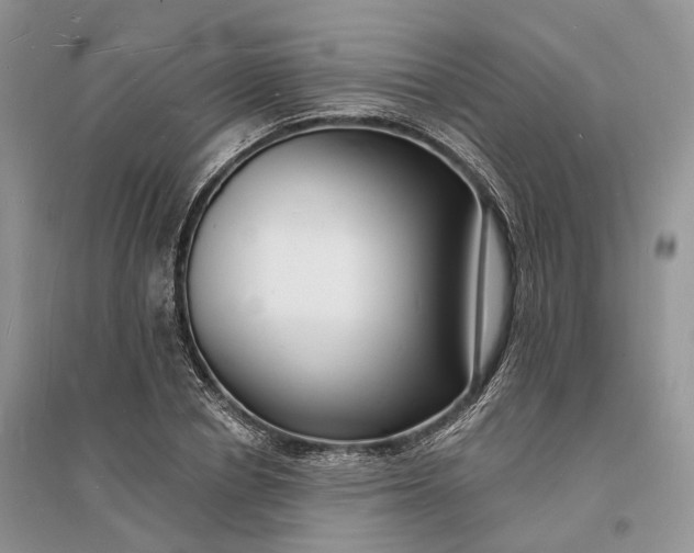 X0000096390834200802071535