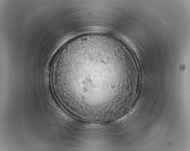 X0000096390835200802071535