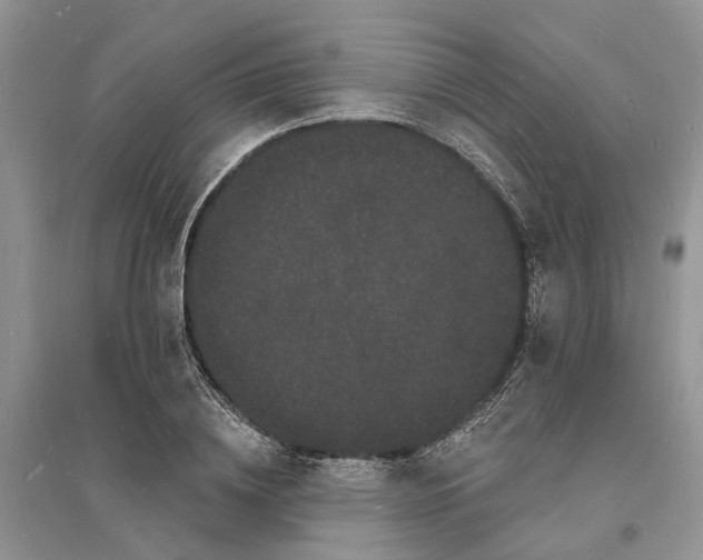 X0000096390836200802071535